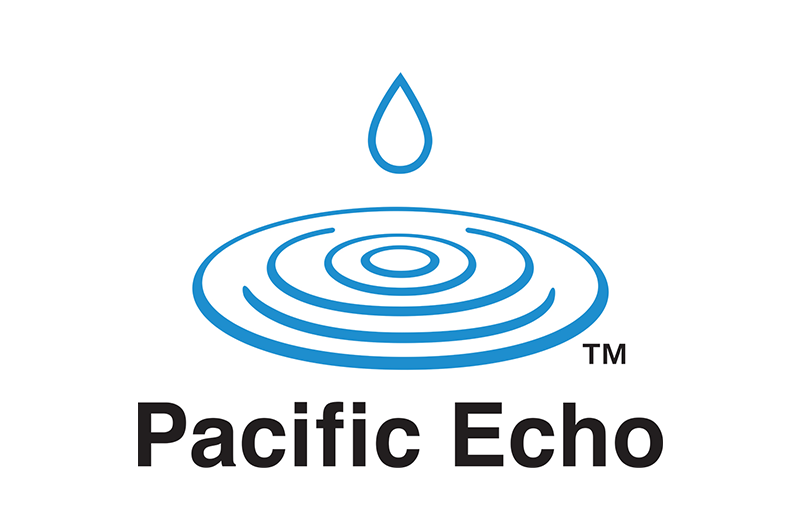 Logo 20